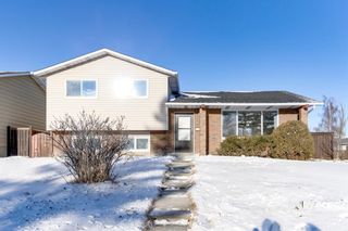 Photo 1: 120 Rundlecairn Rise NE in Calgary: Rundle Detached for sale : MLS®# A1167955