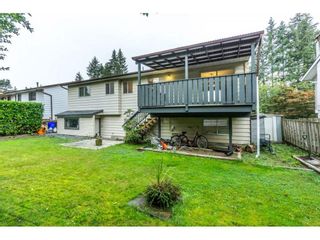Photo 31: 20250 48 AVENUE in Langley: Langley City Home for sale ()  : MLS®# R2305434