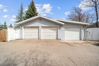Photo 18: 343 Pinetree Road NE in Calgary: Pineridge Detached for sale : MLS®# A2129760