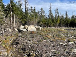 Photo 15: 17-4 Moser Head Road in Lower West Jeddore: 35-Halifax County East Vacant Land for sale (Halifax-Dartmouth)  : MLS®# 202224377