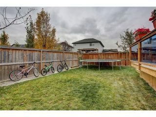 Photo 46: 43 BRIGHTONSTONE Grove SE in Calgary: New Brighton House for sale : MLS®# C4085071