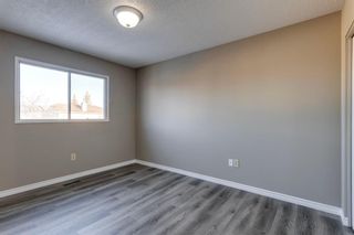 Photo 17: 553 Macewan Drive NW in Calgary: MacEwan Glen Semi Detached (Half Duplex) for sale : MLS®# A2019903