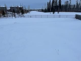 Photo 4: 231 Wild Rose Street: Fort McMurray Residential Land for sale : MLS®# A2023371