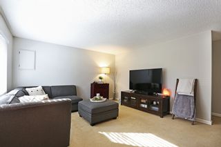 Photo 4: 4480 203 Street in Langley: Langley City House for sale : MLS®# R2652065