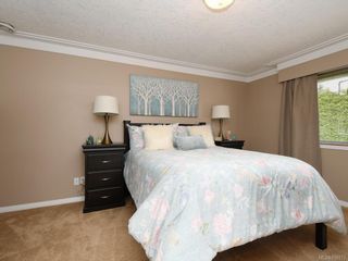 Photo 7: 1136 Lucille Dr in Central Saanich: CS Brentwood Bay House for sale : MLS®# 838973