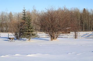 Photo 38: 6205 Township Road 322: Rural Mountain View County Detached for sale : MLS®# A1166373