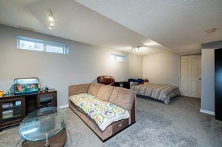 Photo 24: 26 Mt Aberdeen Link SE in Calgary: McKenzie Lake Detached for sale : MLS®# A1095540