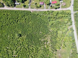 Photo 3: Reeves Road in Coalburn: 108-Rural Pictou County Vacant Land for sale (Northern Region)  : MLS®# 202130003
