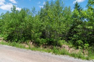 Photo 20: Lot 9 Old Renfrew Road in Upper Rawdon: 105-East Hants/Colchester West Vacant Land for sale (Halifax-Dartmouth)  : MLS®# 202306245