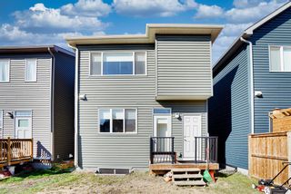 Photo 36: 64 Seton Terrace SE in Calgary: Seton Detached for sale : MLS®# A2004109