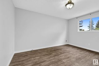 Photo 15: 4424 33A Avenue in Edmonton: Zone 29 House for sale : MLS®# E4390313