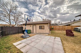 Photo 42: 1328 Pennsburg Road SE in Calgary: Penbrooke Meadows Detached for sale : MLS®# A2122867