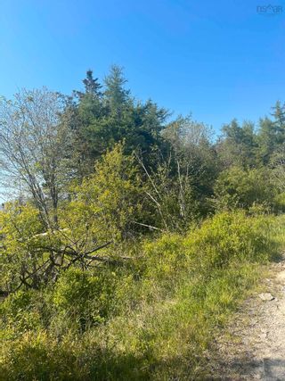 Photo 4: Lot Killam Road in Hillview: County Hwy 1 Vacant Land for sale (Yarmouth)  : MLS®# 202310691