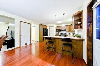 Photo 23: 488 SHANNON SQ SW in Calgary: Shawnessy House for sale : MLS®# C4279332