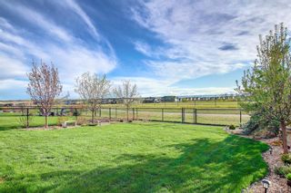 Photo 50: 168 Ranch Road: Okotoks Detached for sale : MLS®# A1220240