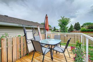Photo 22: 23 Emberdale Way SE: Airdrie Detached for sale : MLS®# A2022990