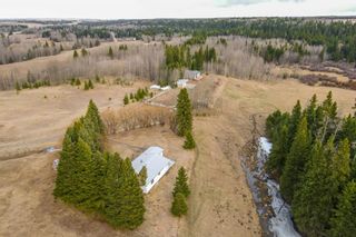 Photo 30: 64049 (A&B) Highway 54: Rural Clearwater County Agriculture for sale : MLS®# A1209840
