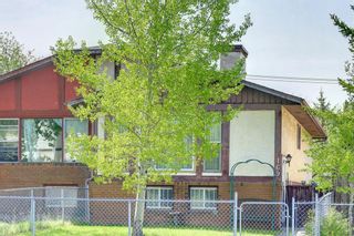 Photo 29: 169 Falsby Road NE in Calgary: Falconridge Semi Detached (Half Duplex) for sale : MLS®# A1252532
