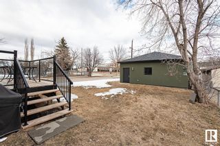Photo 46: 10893 74 Street in Edmonton: Zone 09 House for sale : MLS®# E4330559