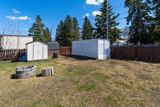 Photo 33: 1233 Downie Street: Carstairs Detached for sale : MLS®# A2124881