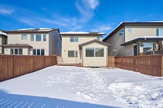 Photo 48: 55 Walden Court SE in Calgary: Walden Detached for sale : MLS®# A2031648