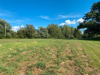 Photo 3: 1896 Shore Road in Merigomish: 108-Rural Pictou County Vacant Land for sale (Northern Region)  : MLS®# 202219743