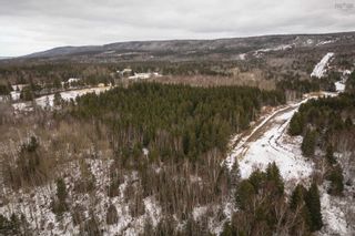 Photo 12: Lot 1 No 19 Highway in Troy: 306-Inverness County / Inverness Vacant Land for sale (Highland Region)  : MLS®# 202401367