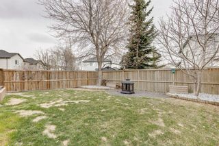 Photo 45: 217 Cranfield Park SE in Calgary: Cranston Detached for sale : MLS®# A1231061