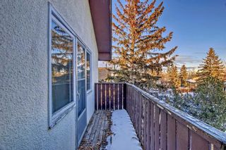 Photo 5: 6313 & 6315 Tregillus Street NW in Calgary: Huntington Hills Full Duplex for sale : MLS®# A2094411