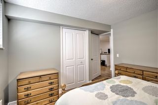 Photo 30: 456 Acadia Drive SE in Calgary: Acadia Detached for sale : MLS®# A1238226