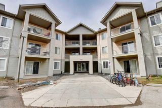 Main Photo: 310 1000 Citadel Meadow Point NW in Calgary: Citadel Apartment for sale : MLS®# A2126771