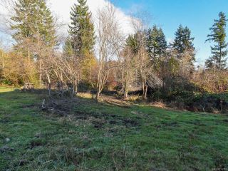 Photo 6: 1544 Dingwall Rd in COURTENAY: CV Courtenay East Land for sale (Comox Valley)  : MLS®# 774303
