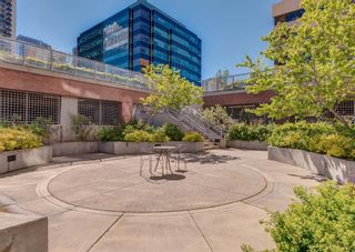 Photo 32: 2302 650 10 Street SW in Calgary: Downtown West End Apartment for sale : MLS®# A1133390