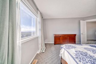 Photo 25: 132 Tremblant Way SW in Calgary: Springbank Hill Detached for sale : MLS®# A2019934