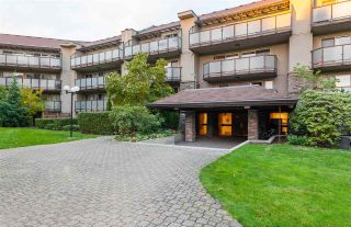Photo 19: 124 4373 HALIFAX Street in Burnaby: Brentwood Park Condo for sale in "BRENT GARDENS" (Burnaby North)  : MLS®# R2219033