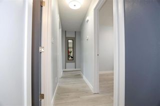 Photo 13: 6 Diamond Street in Winnipeg: North Kildonan Residential for sale (3G)  : MLS®# 202218843
