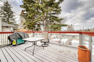 Photo 35: 2005 27 Street SE in Calgary: Southview Detached for sale : MLS®# A2021646