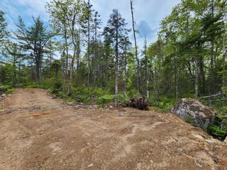 Photo 7: Lot 14 Virginia Road in West Springhill: Annapolis County Vacant Land for sale (Annapolis Valley)  : MLS®# 202400079
