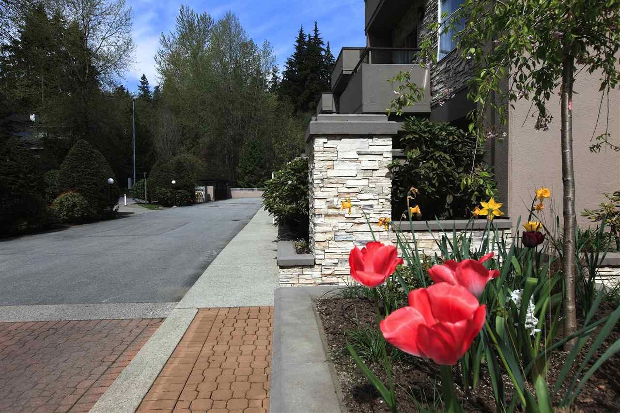 Main Photo: 615 1500 OSTLER COURT in North Vancouver: Indian River Townhouse for sale : MLS®# R2143458