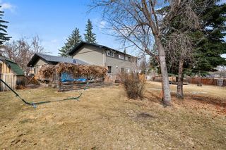 Photo 41: 3211 Utah Place NW in Calgary: University Heights Detached for sale : MLS®# A1084855