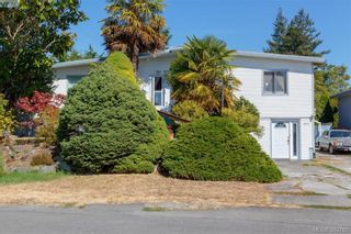 Photo 1: 4211 Belvedere Rd in VICTORIA: SE Lake Hill House for sale (Saanich East)  : MLS®# 769195