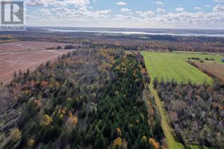 Photo 12: ACREAGE Rte 336 in Cable Head West: Vacant Land for sale : MLS®# 202322862