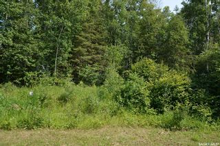 Photo 3: 00 Pineridge Drive in Canwood: Lot/Land for sale (Canwood Rm No. 494)  : MLS®# SK937067