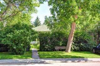 Photo 9: 242 24 Avenue NE in CALGARY: Tuxedo Residential Detached Single Family for sale (Calgary)  : MLS®# C3624676