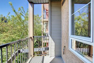 Photo 12: 201 3600 15A Street SW in Calgary: Altadore Apartment for sale : MLS®# A1241916
