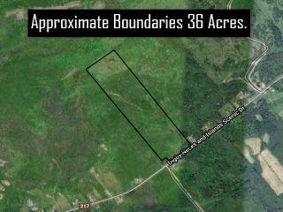 Photo 5: Lot Highway 217 in Rossway: Digby County Vacant Land for sale (Annapolis Valley)  : MLS®# 202111914