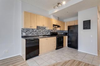 Photo 11: 304 1053 10 Street SW in Calgary: Beltline Apartment for sale : MLS®# A1253519