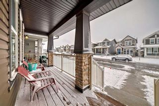 Photo 44: 64 Evanscrest Place NW in Calgary: Evanston Detached for sale : MLS®# A2124396