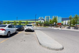 Photo 41: 137 Tarington Court NE in Calgary: Taradale Detached for sale : MLS®# A2131642