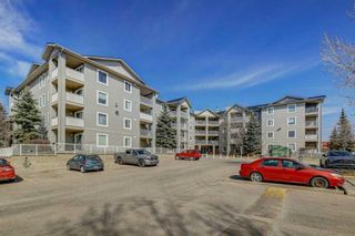 Photo 29: 5309 604 8 Street SW: Airdrie Apartment for sale : MLS®# A2125479